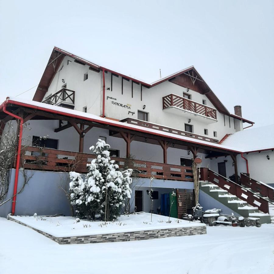 Panorama Cehu Silvaniei Eksteriør billede