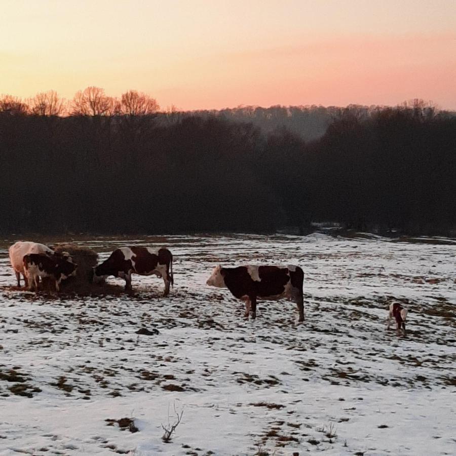 Panorama Cehu Silvaniei Eksteriør billede