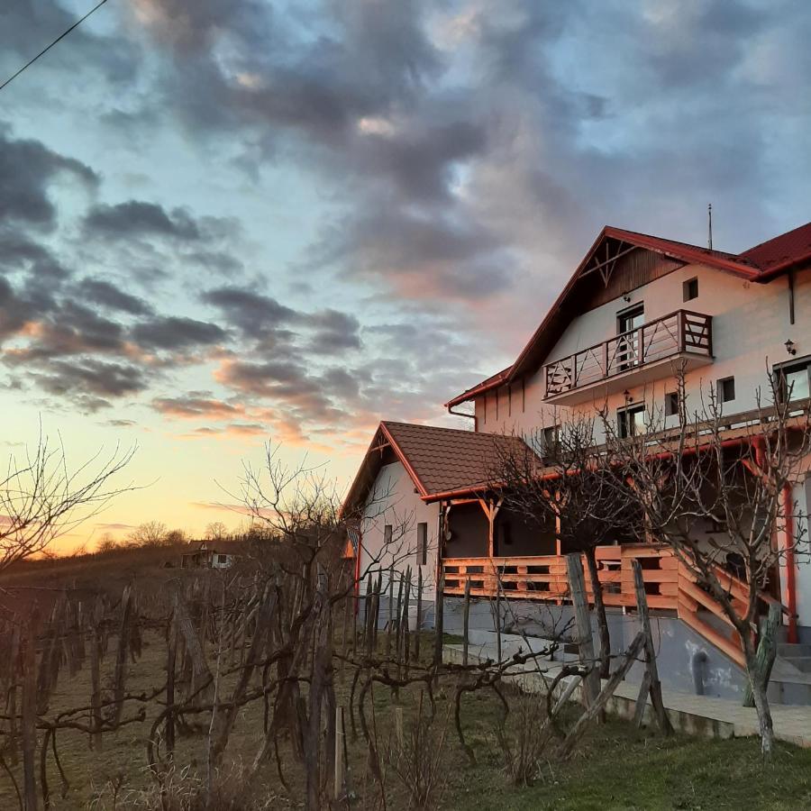 Panorama Cehu Silvaniei Eksteriør billede