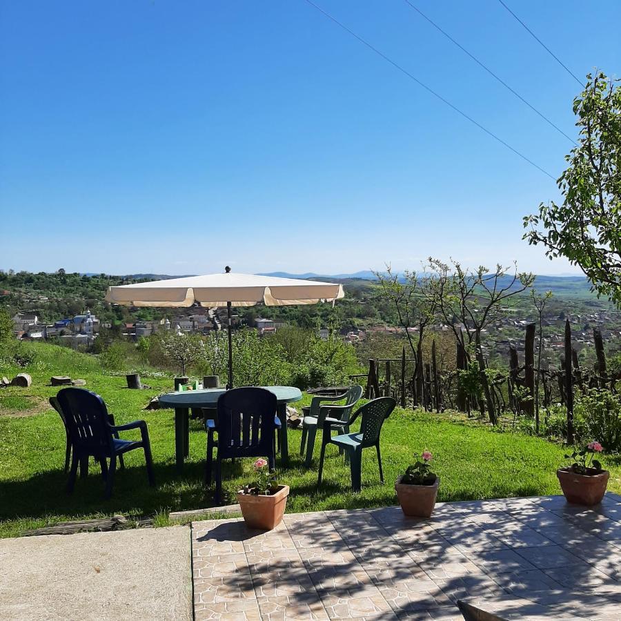 Panorama Cehu Silvaniei Eksteriør billede