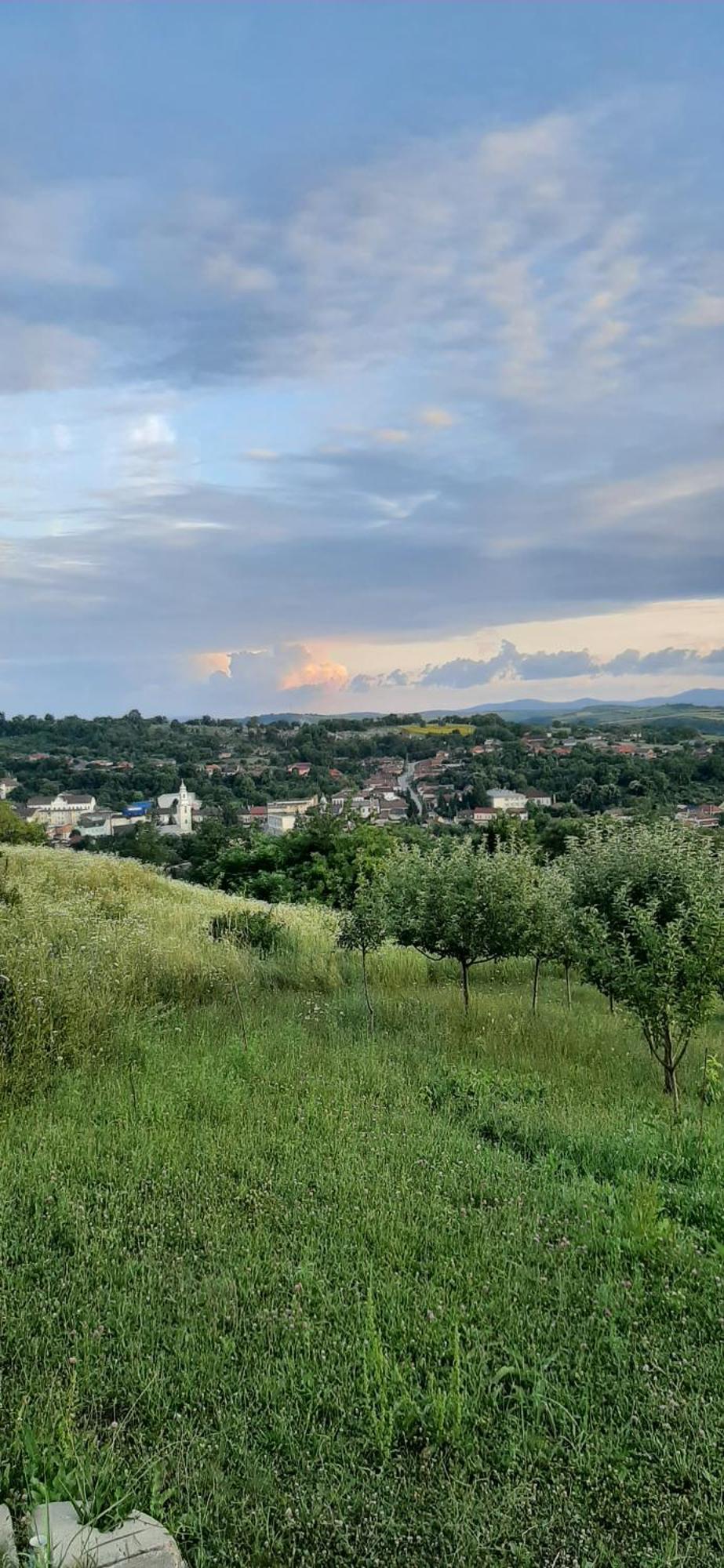 Panorama Cehu Silvaniei Værelse billede