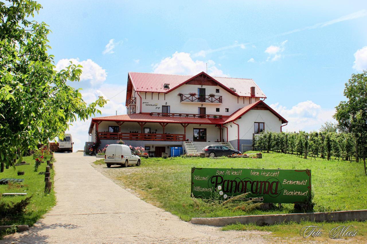Panorama Cehu Silvaniei Eksteriør billede