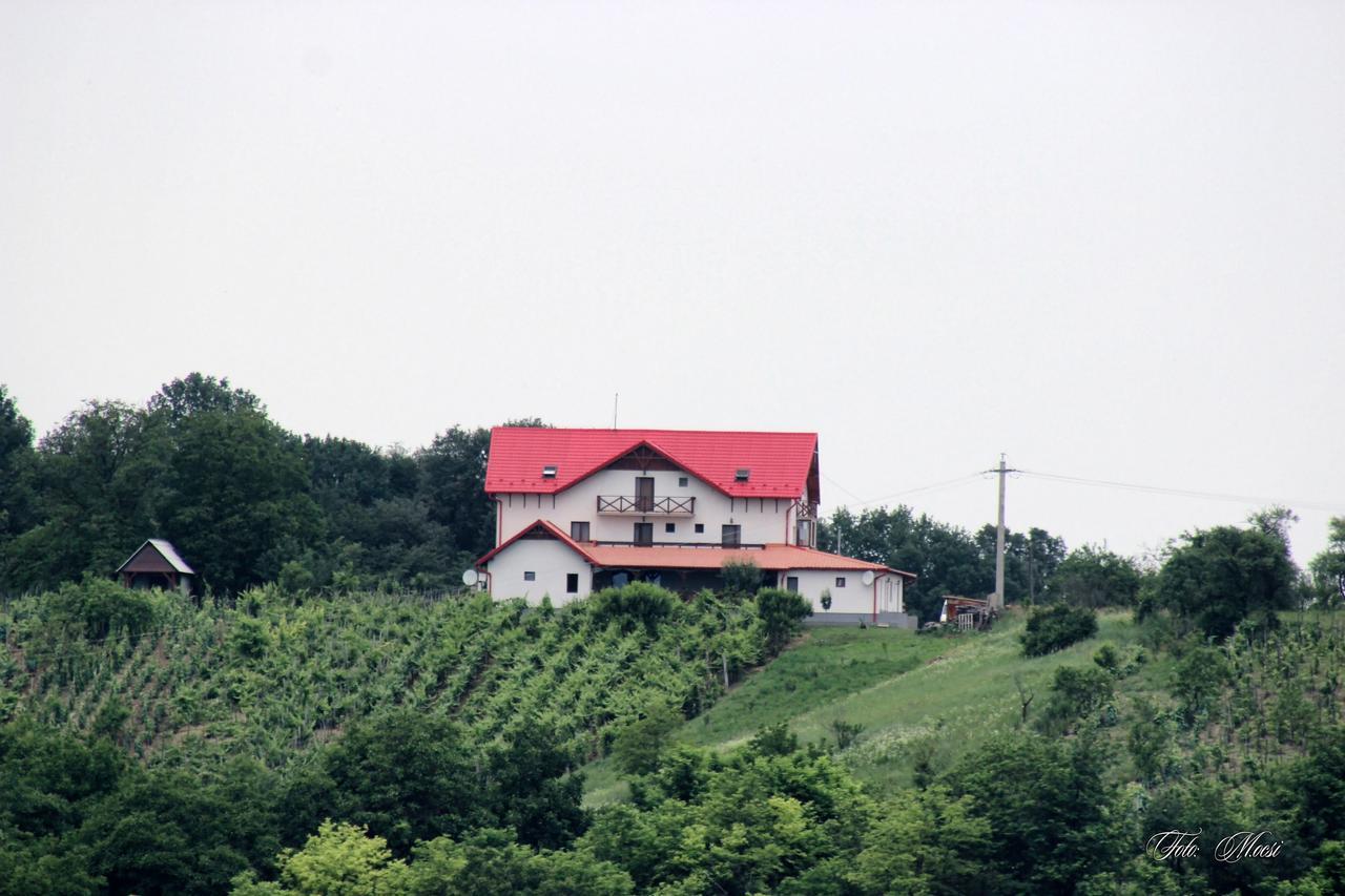 Panorama Cehu Silvaniei Eksteriør billede