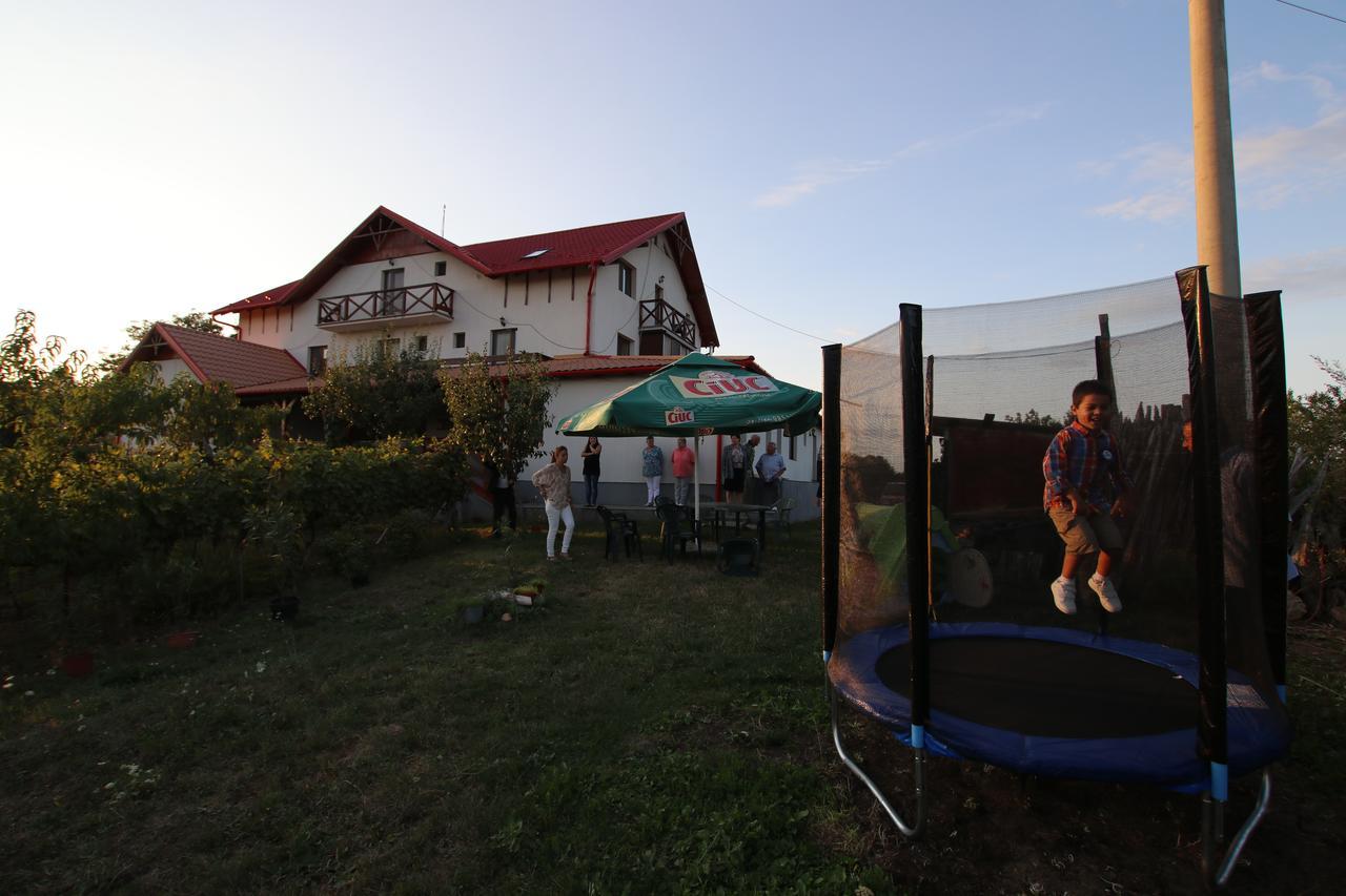 Panorama Cehu Silvaniei Eksteriør billede