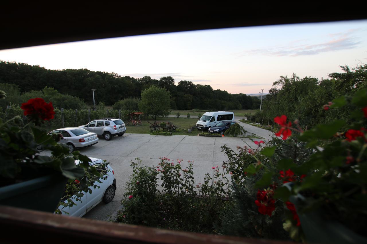 Panorama Cehu Silvaniei Eksteriør billede