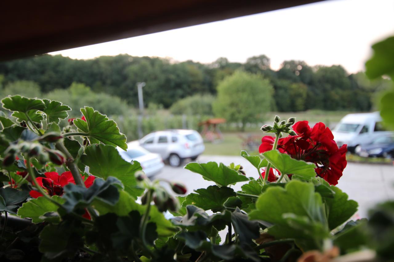 Panorama Cehu Silvaniei Eksteriør billede